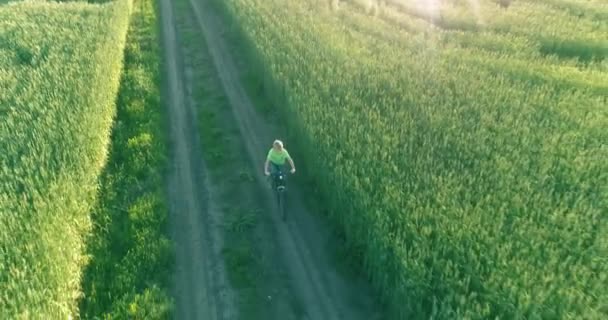 少年は、古い農村部の道路上のコムギの芝生のフィールドを介して自転車に乗るの空中ビュー。日光と梁. — ストック動画