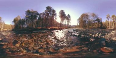 Vahşi dağların, çam ormanlarının ve nehir akışlarının 360 VR sanal gerçekliği. Ulusal park, çayır ve güneş ışınları.