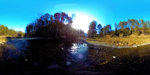 360 VR virtual reality of a wild mountains, pine forest and river flows. National park, meadow and sun rays. — Stock Video