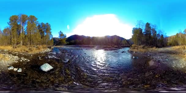 360 VR virtuelle Realität eines wilden Gebirges, Kiefernwaldes und Flusses fließt. Nationalpark, Wiese und Sonnenstrahlen. — Stockvideo