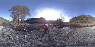 Vahşi dağların, çam ormanlarının ve nehir akışlarının 360 VR sanal gerçekliği. Ulusal park, çayır ve güneş ışınları.
