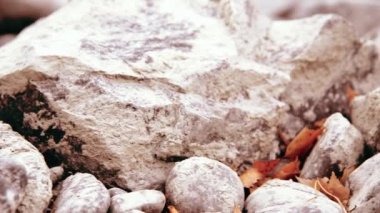 Dolly ormanın yakınındaki bir dağ nehrinde akan suyun kaygan görüntüsü. Islak kayalar ve güneş ışınları. Yatay sabit hareket.