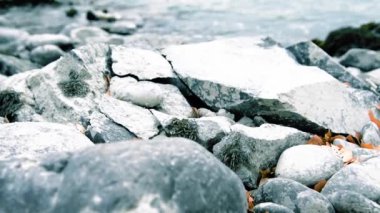 Dolly ormanın yakınındaki bir dağ nehrinde akan suyun kaygan görüntüsü. Islak kayalar ve güneş ışınları. Yatay sabit hareket.