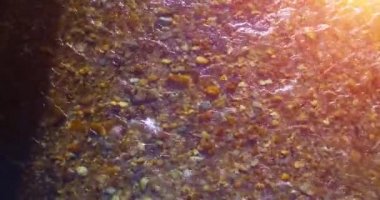 Güneşli yaz sabahında temiz ve taze bir dağ nehri üzerinde uçuşun ortasındayız. Üst görünüm ve yatay hareket