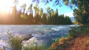 Dağ nehri kıyısındaki çayır. Yeşil çimlerle, çam ağaçlarıyla ve güneş ışınlarıyla kaplı bir manzara. Motorlu kaydırma kulesinde hareket.