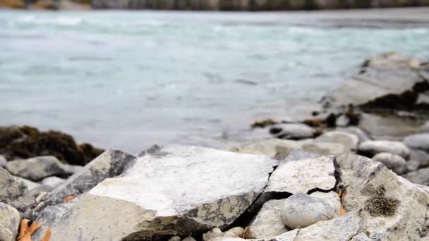 Dolly slider shot of the splashing water in a mountain river near forest. Rochers humides et rayons du soleil. Mouvement horizontal régulier. — Video