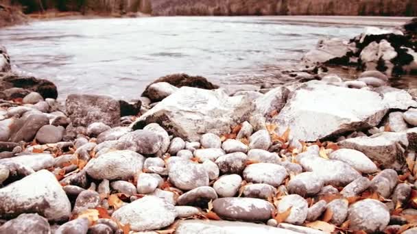 Dolly deslizador de tiro de las salpicaduras de agua en un río de montaña cerca del bosque. Rocas húmedas y rayos de sol. Movimiento horizontal constante. — Vídeos de Stock