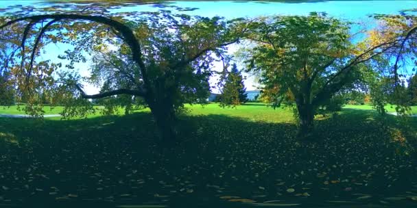 UHD 4K 360 VR Réalité virtuelle d'un parc municipal zone de loisirs. Arbres et herbe verte le jour d'automne ou d'été — Video