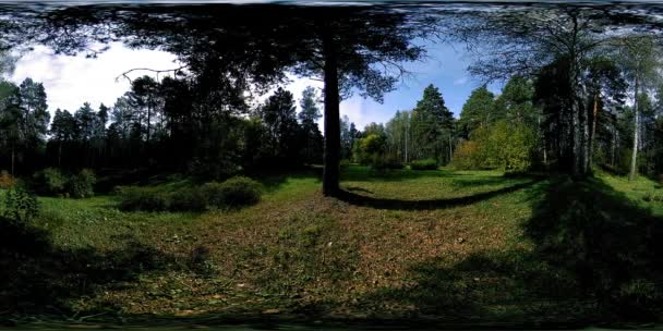 UHD 4K 360 VR Realtà Virtuale di un'area ricreativa del parco cittadino. Alberi ed erba verde al giorno d'autunno o d'estate — Video Stock