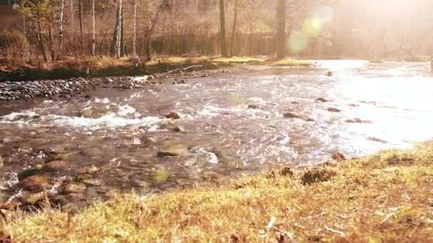 森の近くの山の川で水しぶきのドリースライダーショット。ぬれた岩や太陽の光線。水平安定運動. — ストック動画