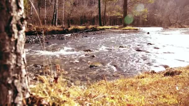 Dolly slider shot of the splashing water in a mountain river near forest. Wet rocks and sun rays. Horizontal steady movement. — Stock Video