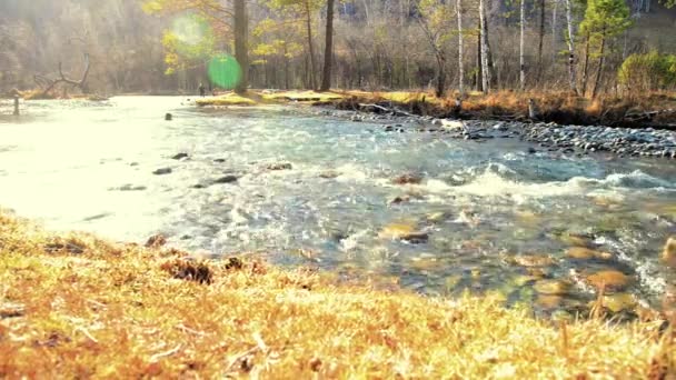 Dolly slider shot of the splashing water in a mountain river near forest. Wet rocks and sun rays. Horizontal steady movement. — Stock Video