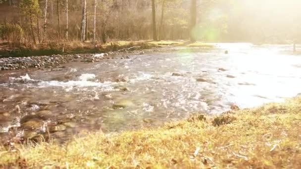 森の近くの山の川で水しぶきのドリースライダーショット。ぬれた岩や太陽の光線。水平安定運動. — ストック動画