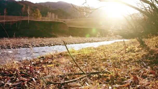 Dolly-Slider-Aufnahme des plätschernden Wassers in einem Gebirgsfluss in Waldnähe. Nasse Felsen und Sonnenstrahlen. Horizontale stetige Bewegung. — Stockvideo