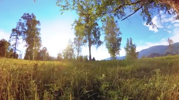 Prairie rurale ensoleillée au paysage de montagne avec herbe verte, arbres et rayons du soleil. Mouvement diagonal sur poupée coulissante motorisée. — Video