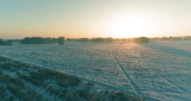 Arktik çayırlı soğuk kış manzarası, karla kaplı ağaçlar ve ufukta sabah güneşleri..