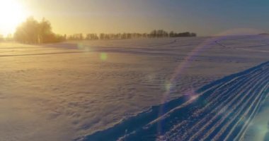 Arktik çayırlı soğuk kış manzarası, karla kaplı ağaçlar ve ufukta sabah güneşleri..