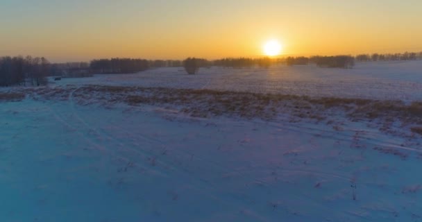 Luchtfoto drone uitzicht op koud winterlandschap met poolveld, bomen bedekt met vorst sneeuw en ochtendzon stralen over horizon. — Stockvideo