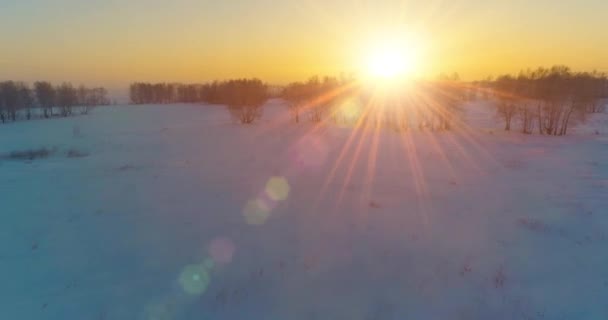 Vue aérienne par drone du paysage hivernal froid avec champ arctique, arbres couverts de neige verglaçante et rayons du soleil matinaux au-dessus de l'horizon. — Video