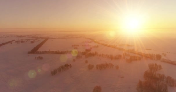 Vue aérienne par drone du paysage hivernal froid avec champ arctique, arbres couverts de neige verglaçante et rayons du soleil matinaux au-dessus de l'horizon. — Video