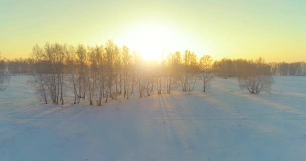 Flygdrönare syn på kallt vinterlandskap med arktiska fält, träd täckta med frost snö och morgonsol strålar över horisonten. — Stockvideo