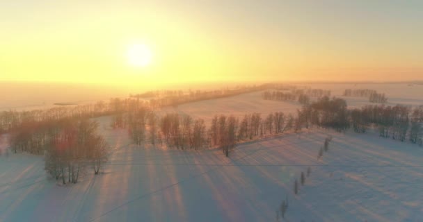 Vista aérea de drones del frío paisaje invernal con campo ártico, árboles cubiertos de nieve helada y rayos de sol matutinos sobre el horizonte. — Vídeos de Stock