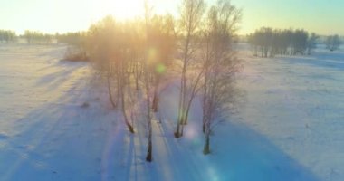 Arktik çayırlı soğuk kış manzarası, karla kaplı ağaçlar ve ufukta sabah güneşleri..