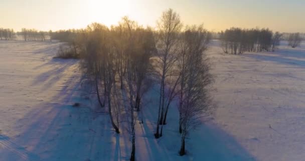 Drohnenaufnahme der kalten Winterlandschaft mit arktischem Feld, Bäumen mit Frostschnee und Morgensonnenstrahlen über dem Horizont. — Stockvideo