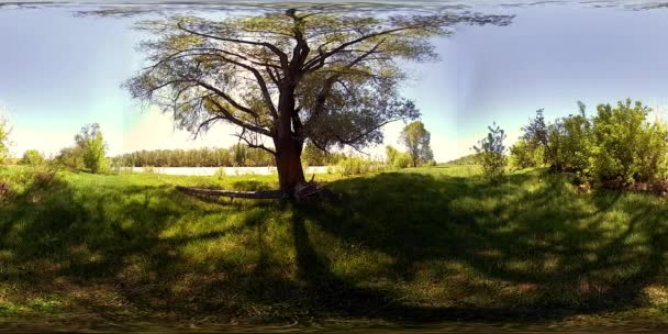 UHD 4K 360 VR La realidad virtual de un río fluye sobre rocas en un hermoso paisaje de bosque de montaña — Vídeos de Stock