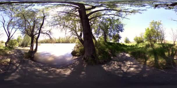 UHD 4K 360 VR La realidad virtual de un río fluye sobre rocas en un hermoso paisaje de bosque de montaña — Vídeos de Stock