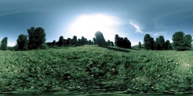 UHD 4K 360 VR yeşil dağ ormanı. Güneş ışığı ve gölge, çimen ve çam ağaçları.