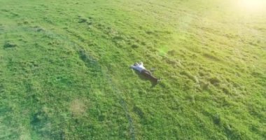 Yeşil çimlerin üzerinde sarı kırsal alanda not defteri olan bir adamın etrafında alçak yörünge uçuşları..