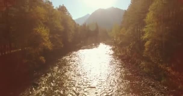 Low altitude flight over fresh fast mountain river with rocks at sunny summer morning. — Stock Video