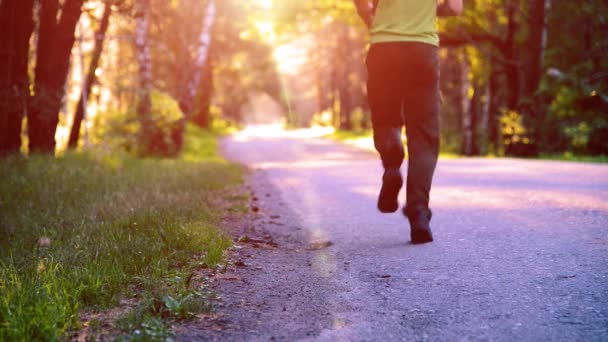 Sportowiec biegający po asfaltowej drodze. Wiejski park miejski. Zielone lasy i promienie słoneczne na horyzoncie. — Wideo stockowe