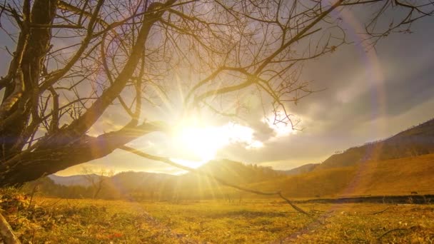 Time lapse of death tree and dry yellow grass at mountian landscape with clouds and sun rays. Horizontal slider movement — Stock Video