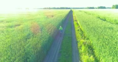 Kırsal yoldaki bir çim tarlasında bisiklet süren genç bir çocuğun hava manzarası. Güneş ışığı ve ışınlar.