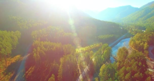 Vôo a meio do ar sobre o rio e o prado frescos da montanha na manhã ensolarada do verão. Estrada de terra rural abaixo. — Vídeo de Stock