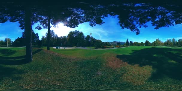 UHD 4K 360 VR Realtà Virtuale di un'area ricreativa del parco cittadino. Alberi ed erba verde al giorno d'autunno o d'estate — Video Stock