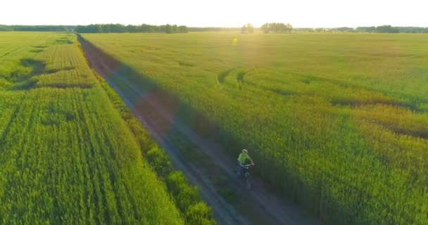 Flygfoto på ung pojke, som rider en cykel genom ett vete gräs fält på den gamla landsvägen. Solljus och strålar. — Stockvideo