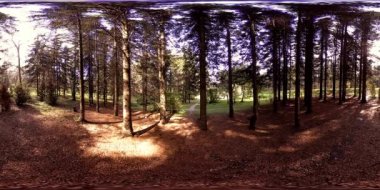 Bir şehir parkının UHD 4K 360 VR Sanal Gerçekliği. Sonbaharda ya da yaz gününde ağaçlar ve yeşil çimenler