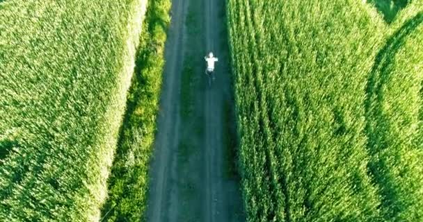 Flygfoto på ung pojke, som rider en cykel genom ett vete gräs fält på den gamla landsvägen. Solljus och strålar. — Stockvideo