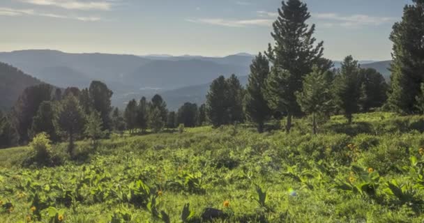 Timelapse del prado de montaña. Naturaleza salvaje y campo rural. Nubes, árboles, hierba verde y rayos de sol movimiento. Movimiento de cámara. — Vídeos de Stock