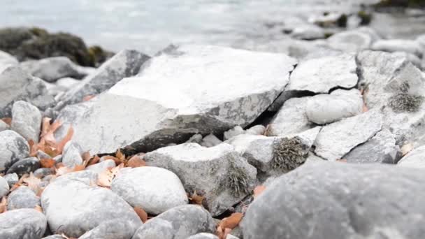 Ползунок Долли с брызгами воды в горной реке возле леса. Влажные камни и солнечные лучи. Горизонтальное устойчивое движение. — стоковое видео