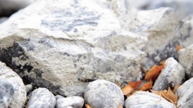 Dolly ormanın yakınındaki bir dağ nehrinde akan suyun kaygan görüntüsü. Islak kayalar ve güneş ışınları. Yatay sabit hareket.