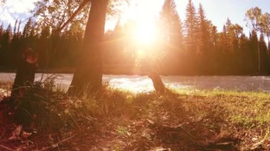 Dağ nehri kıyısındaki çayır. Yeşil çimlerle, çam ağaçlarıyla ve güneş ışınlarıyla kaplı bir manzara. Motorlu kaydırma kulesinde hareket.