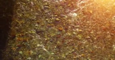 Güneşli yaz sabahında temiz ve taze bir dağ nehri üzerinde uçuşun ortasındayız. Üst görünüm ve yatay hareket