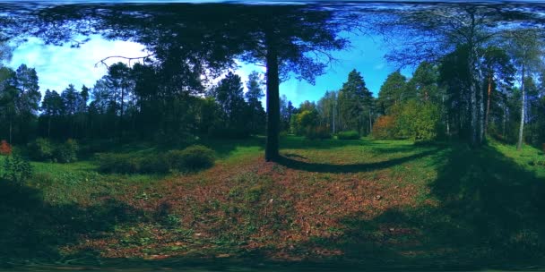 UHD 4K 360 VR Virtual Reality av en stadspark rekreationsområde. Träd och grönt gräs på hösten eller sommaren dag — Stockvideo