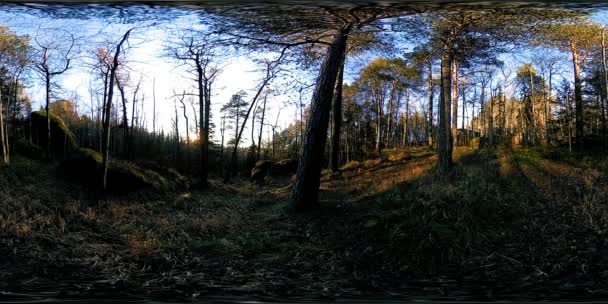 Realidad virtual de 4K 360 VR de una hermosa escena de montaña en otoño. Montañas siberianas salvajes. — Vídeo de stock