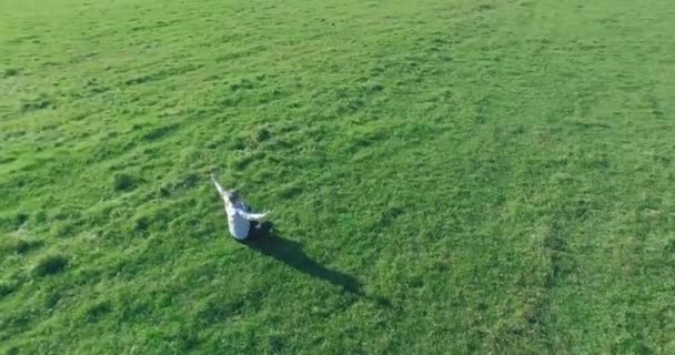 Vôo orbital baixo em torno do homem na grama verde com bloco de caderno no campo rural amarelo. — Vídeo de Stock