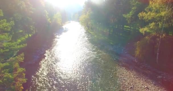 Volo a bassa quota sul fresco fiume di montagna veloce con rocce al soleggiato mattino d'estate. — Video Stock